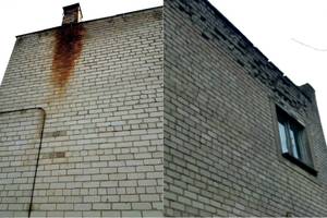 Vos kirtus sieną emigrantę persmelkė nelaimės baimė – taip gyvena pusė Lietuvos