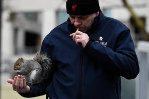 Įžūli voverė iš dosnaus vyro mėgino pavogti cigaretę