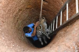 Išdžiūvusiame šulinyje – netikėtas gyventojų radinys