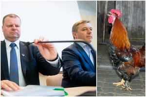 Lietuvos valstiečių valdžia ištisus metus giedojo kaip Ugninis Gaidys