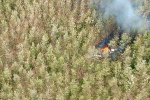 Kosta Rikoje sudužus lengvajam lėktuvui žuvo 12 žmonių, iš jų 10 – užsienio turistų
