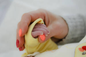 Metų sandūra dešimtis vilniečių šeimų pasitiko ypatinga dovana