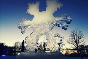 Pakruojo dvare vyks ledo skulptūrų festivalis „Šimtmečio pasaka“ 