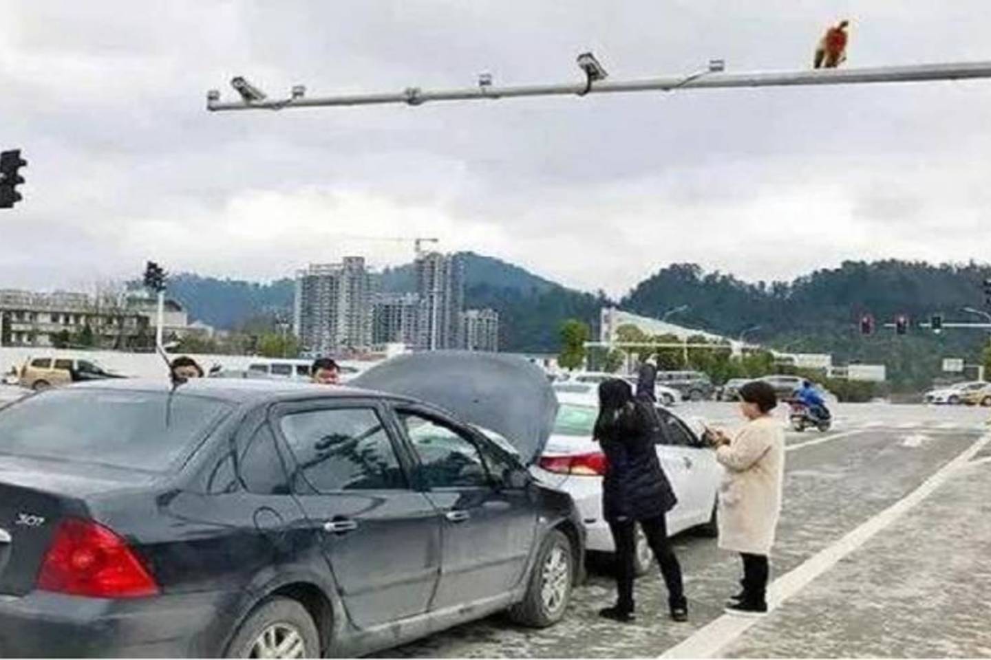 Raudoną primato užpakalį draudžiančiu šviesoforo signalu palaikiusi moteris sukėlė avariją.<br>TVBS nuotr.