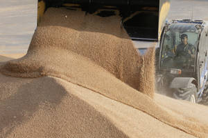 Aplenkę JAV rusai šaiposi, tačiau su gamtos dovana nesusidoroja