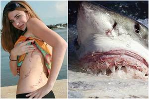 Kaip gintis, jei jus užpultų ryklys arba lokys? Atsakymas nustebins