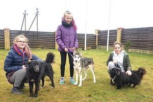 Gyvūnų prieglauda Klaipėdoje neleido pasiimti keturkojų