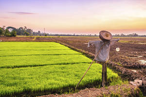 Tradicinėms baidyklėms atėjo pabaiga