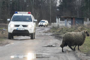 Nežinios kankinamas Paluknyje dingusio sargo sūnus: „Policija mums nieko nepasakoja“