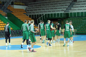 Dėl šunų parodos „Žalgiris“ persikels į Halę