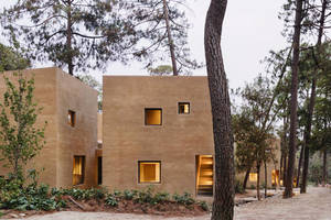 Kelių kaimynų gyvenvietė pušyne – čia pasakiškai ramu ir jauku