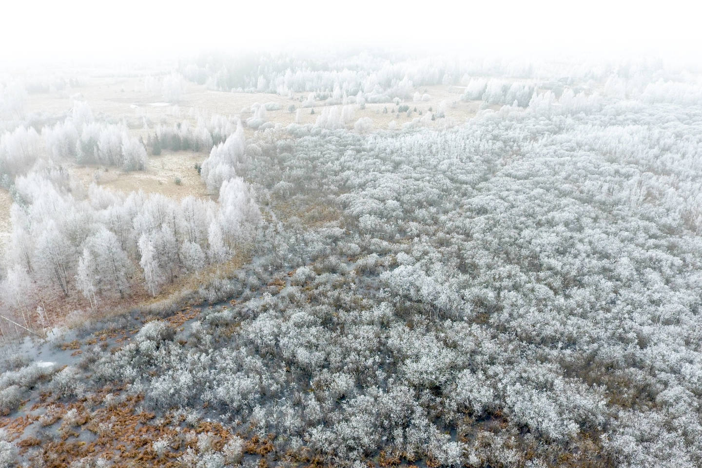  Žiemos vaizdai Vilniaus apylinkėse.<br> V. Ščiavinsko nuotr.
