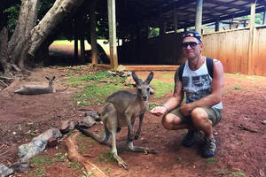 Lietuvius Australijoje bandė apvogti kengūra