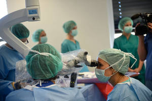 Jaunieji medikai: dalis negali išreikšti pykčio, nes dirba dviem etatais