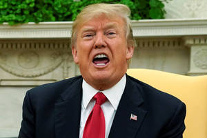 Donaldas Trumpas ištarė žodžius, kurių nedera sakyti niekam