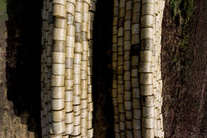 Kelyje link EBPO neliko teisinių kliūčių