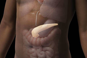 Sunki ir net mirtina liga tapo epidemija: svarbu žinoti, kaip apsisaugoti