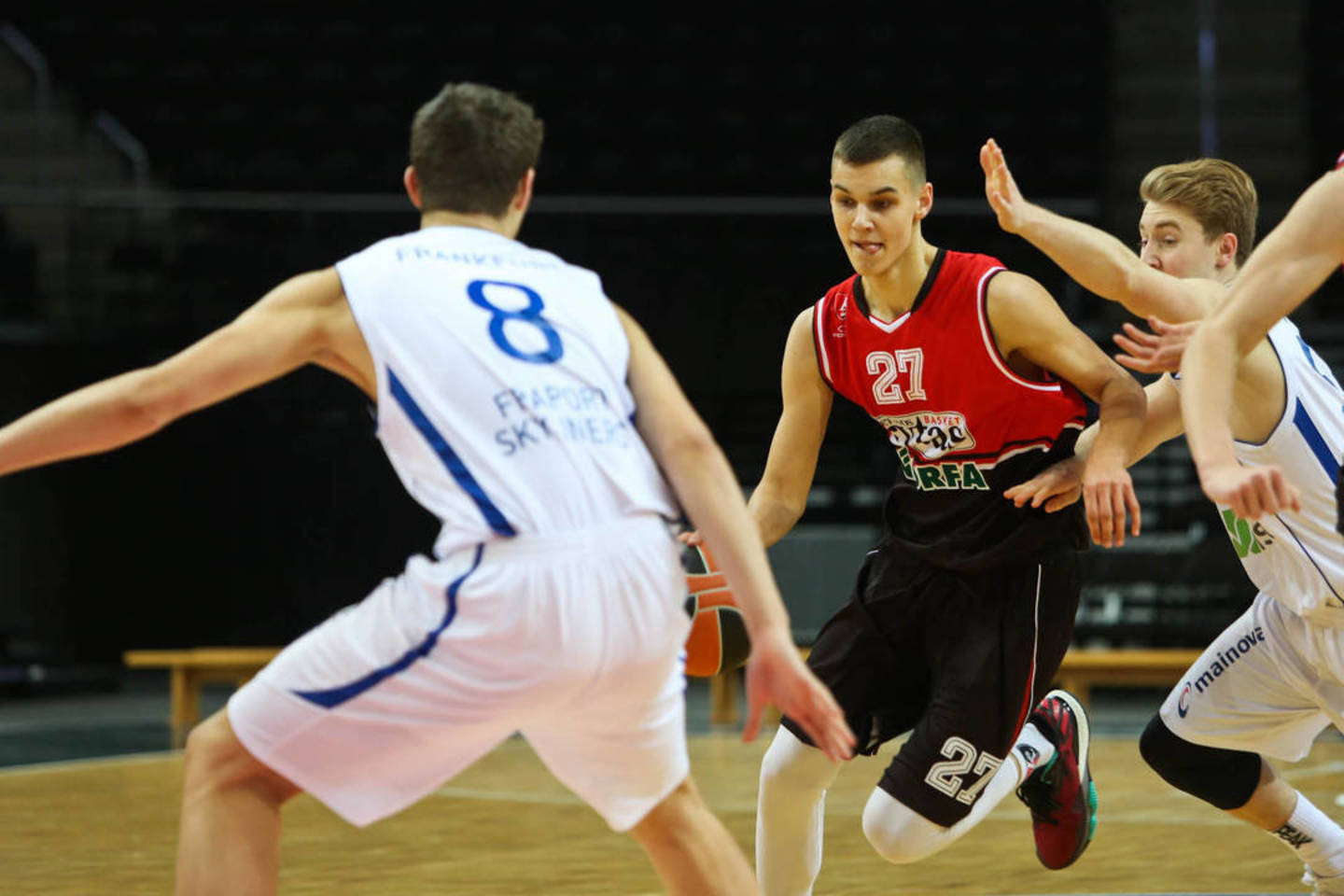 D.Sirvydis.<br> G.Bitvinsko nuotr.