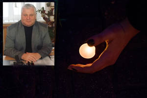 Pjaudamas sodybos kieme augusį medį žuvo Mažeikių r. mokyklos direktorius