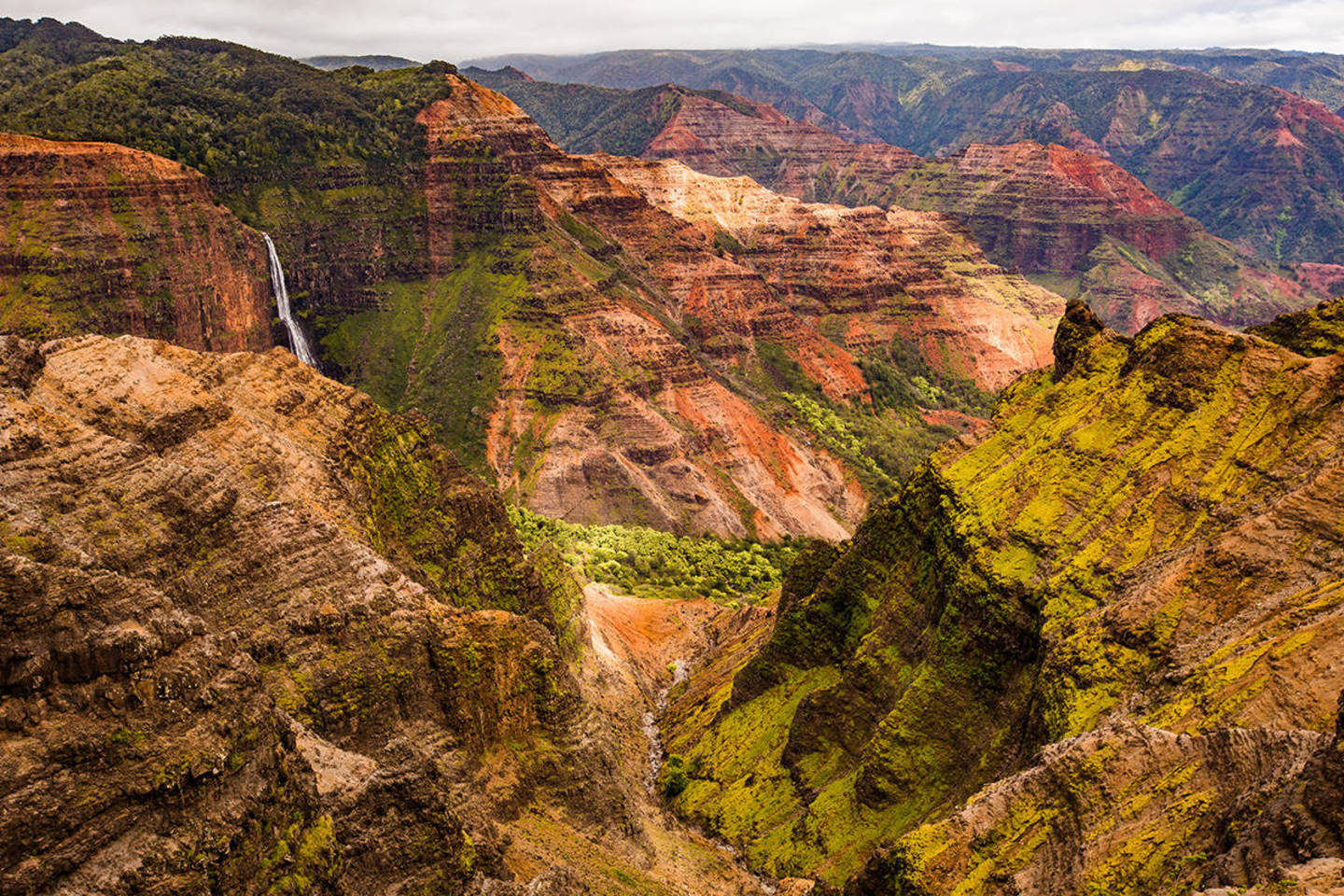 Kuai<br>Shutterstock nuotr.