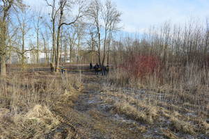 Suimtas vyras, įtariamas nudūręs ir po šakomis paslėpęs alytiškį