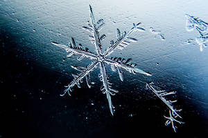 Gausų sniegą lydės stiprūs vėjai ir šaltis: bus labai žvarbu