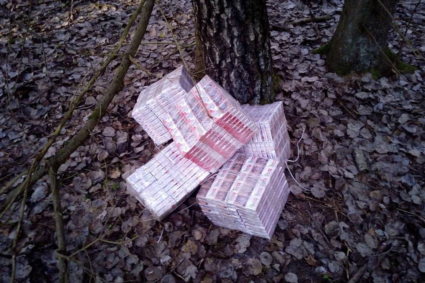 Stebėjimo sistemomis pasienyje užfiksuota, kaip per valstybės sieną permesta kontrabanda.