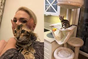 Natalijos Bunkės sūnus iškart pamilo naują šeimos narį: „Juoko pilni namai“