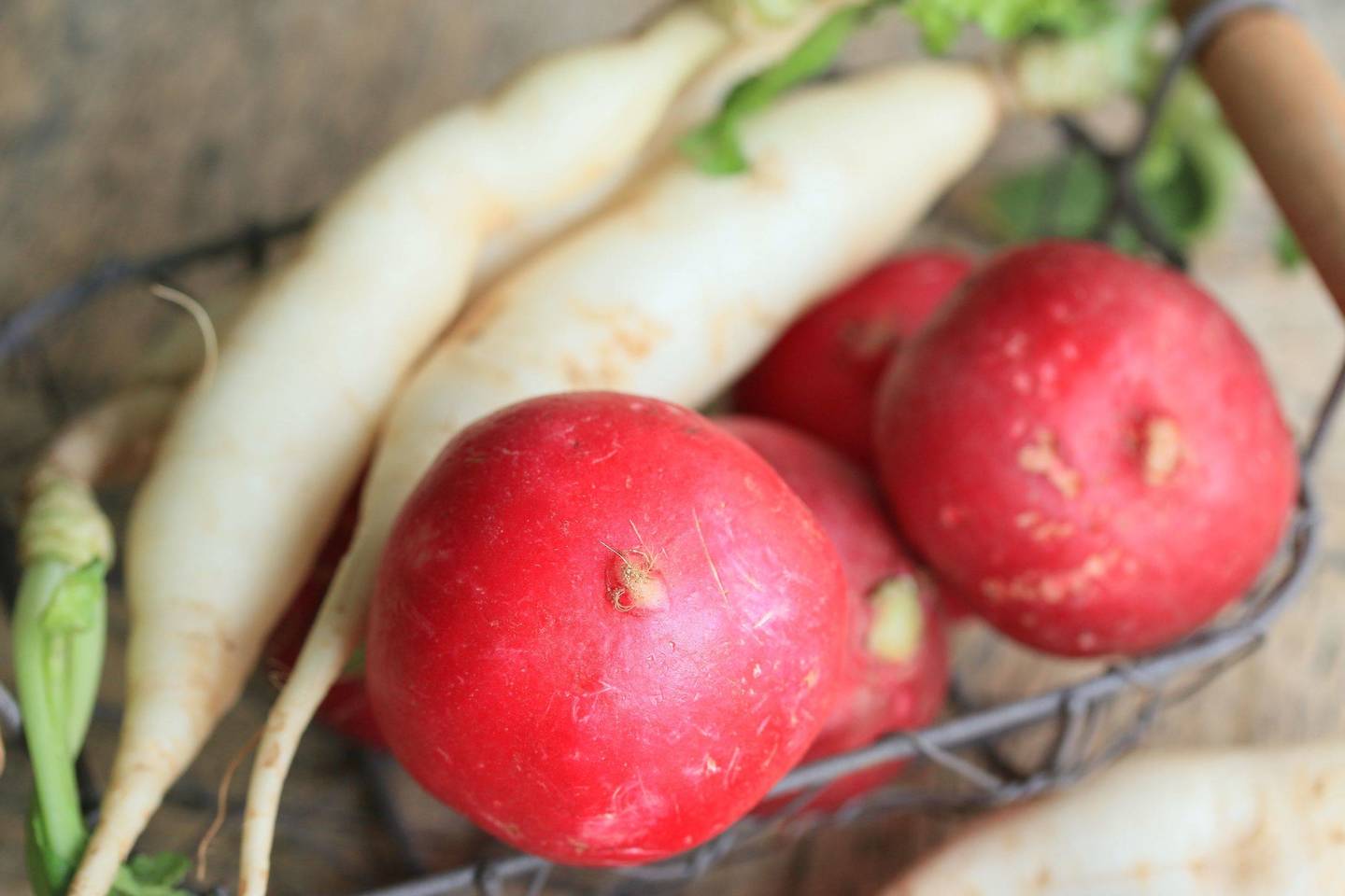 Ridikai.<br> 123rf.com nuotr.