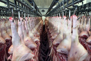 „Rosselchoznadzor“: ES maisto produktų gamintojams Rusijos rinka iškart neatsivers