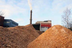 Lietuvos biokuro energetikos įmonės įdomios ir tarptautinio verslo banginiams