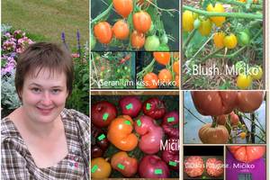 Stulbinama vilnietės pomidorų kolekcija ir trys patarimai prieš sezoną