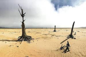 Turistų pamėgtame didmiestyje vandens liko tik trims mėnesiams