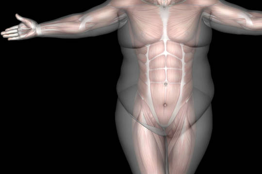 Užteks dumti akis: „stambūs kaulai“ – tik savo kaltės dangstymas