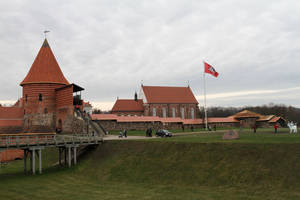 Vyčio skulptūra stovės prie Kauno pilies