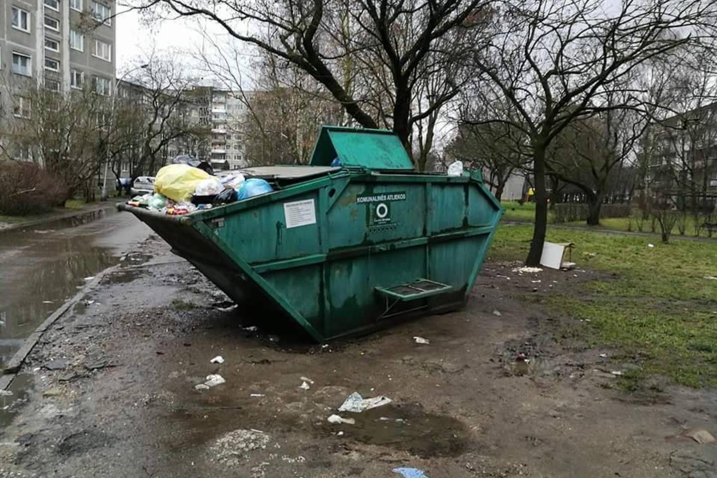 Žiauriai su kalyte Maira pasielgęs jaunuolis stojo prieš teismą. Augintinė rasta šiukšlių konteineryje.