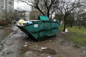 Gyvūną tarsi daiktą žiemą išmetęs 18-metis kaunietis: „Taip jau išėjo“