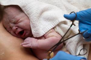 Gimdyvės sukilo: gimdyklose naudojami gyvybei grėsmingi metodai