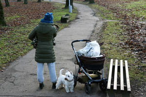 Svarbi diena tėvams: KT priėmė sprendimą dėl motinystės ir tėvystės išmokų  „lubų“ 