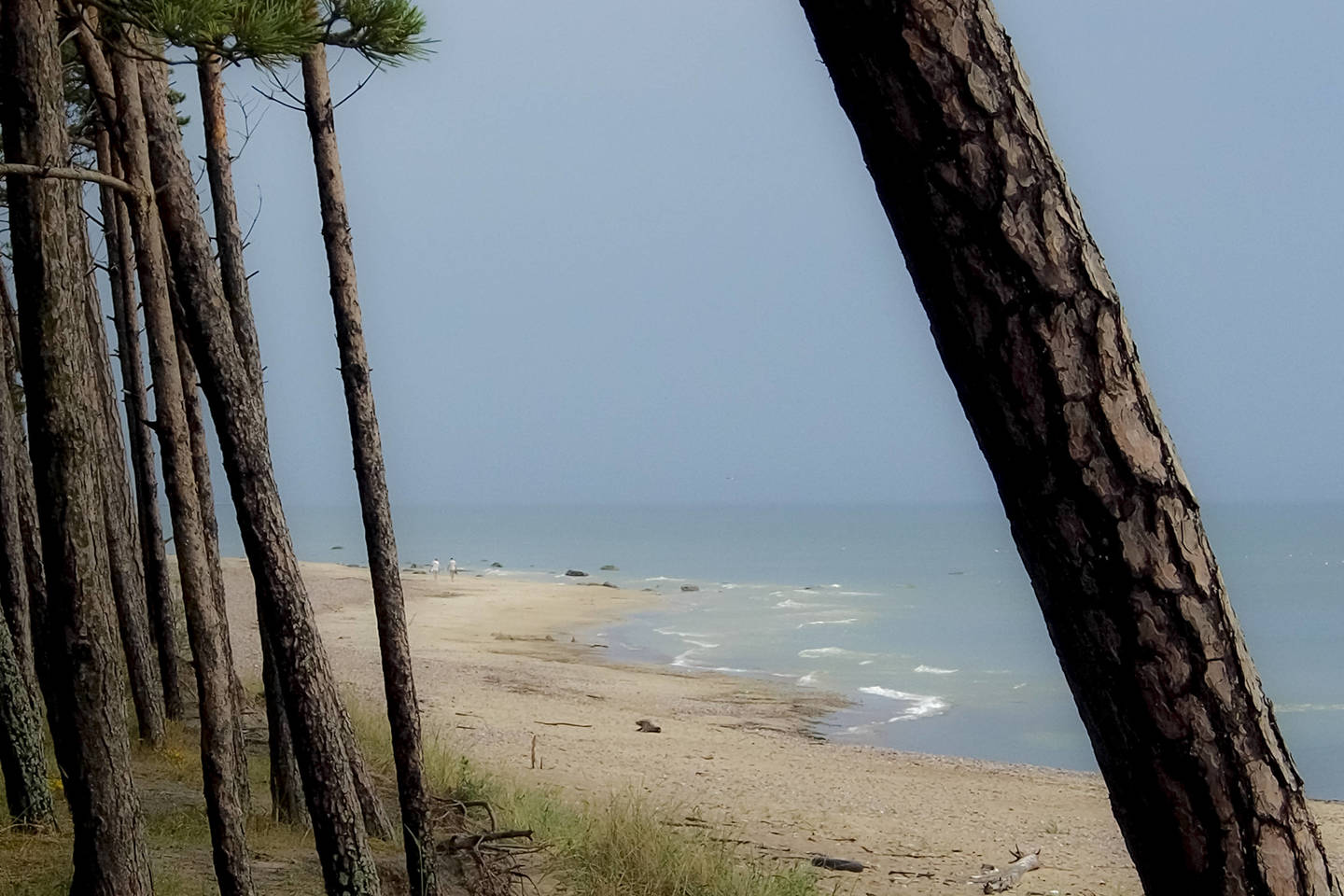  Latvijoje namas ant jūros kranto pripažintas laivu.<br> V. Ščiavinsko asociatyvi nuotr.