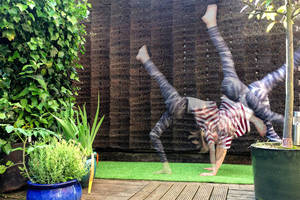 Kaip architektai išdykauja – pastatė „plaukuotą“ statinį