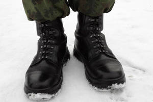 Kariuomenės poligonai iki 2022 metų bus išplėsti dvigubai