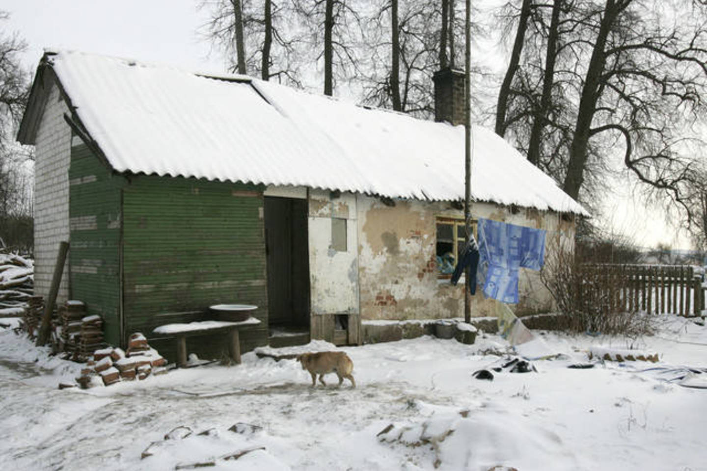 Prienų rajone įsibrovėliai, sumušę senukus ir jų sūnų, pareiškė: "Ne ten pataikėme".