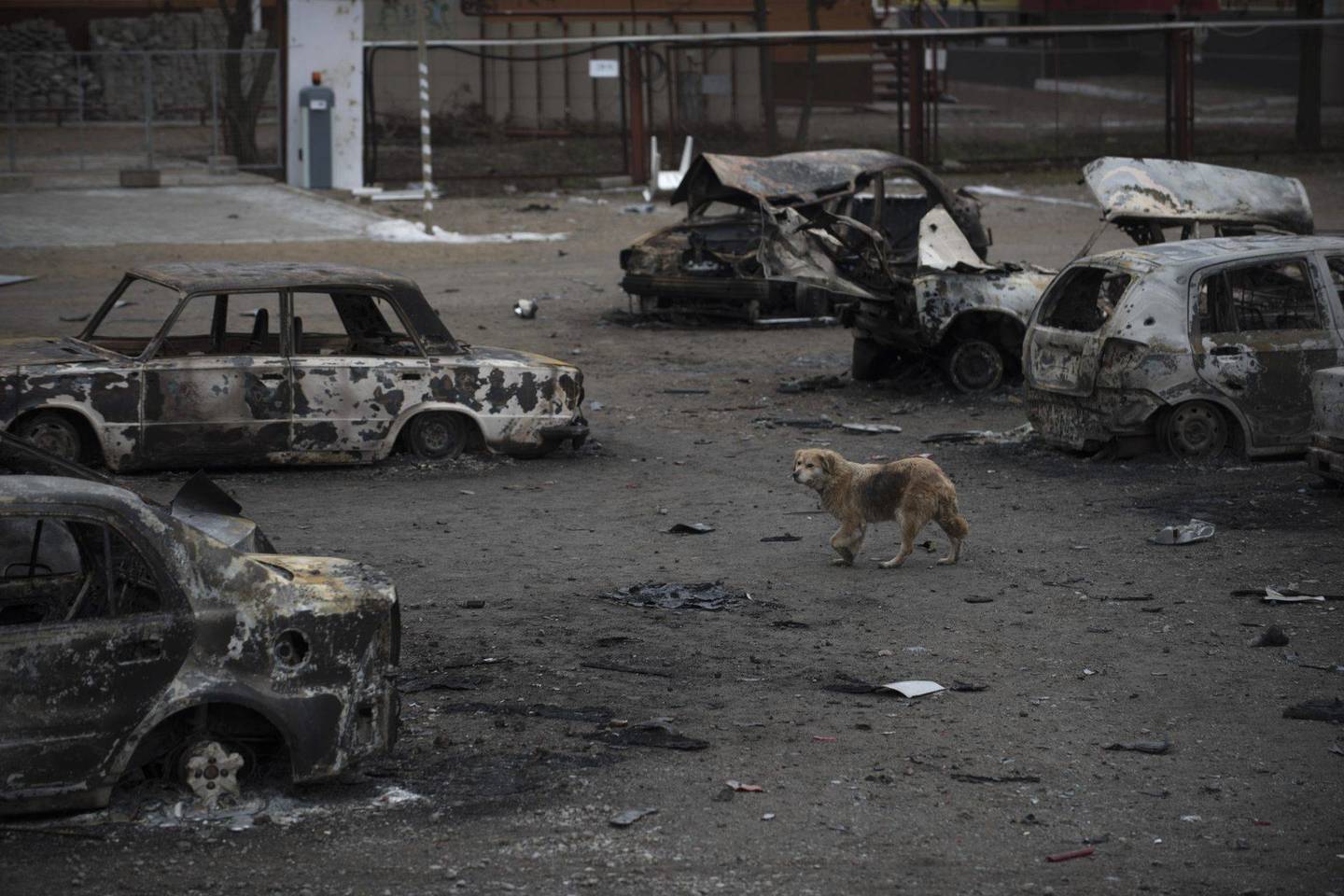 Rytų Ukraina virsta griuvėsiais.<br>AP nuotr. iš archyvo