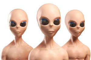 Iš kur atkeliauja ateiviai? Viskas daug paprasčiau