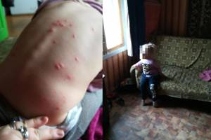 Akibrokštas: pagalbos vaikams prašiusi moteris paspruko nuo pareigūnų