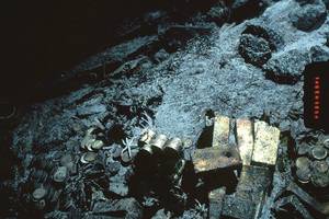 Neįtikėtinas lobis išvys dienos šviesą: aukso bus galima net nusipirkti