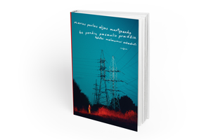 M. P. Elijo Martynenkos knyga – tekstai malonumui sužadinti 