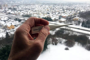  Gripo epidemija skelbiama dar trijose savivaldybėse 