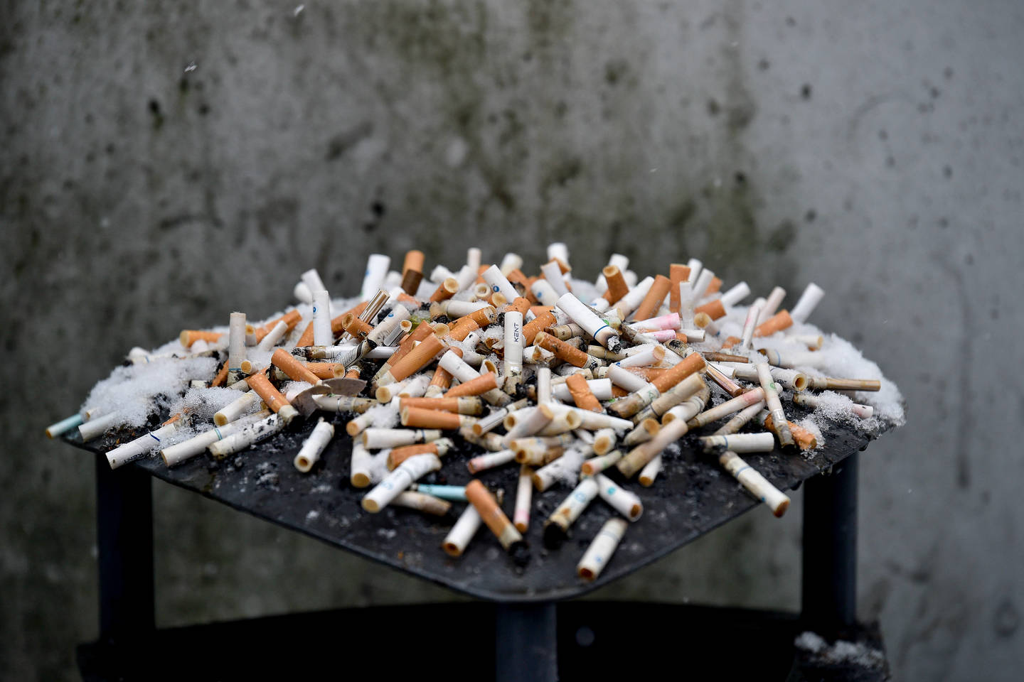 Rūkymas,cigaretės,kancarai,peleninė<br>V.Ščiavinsko nuotr.